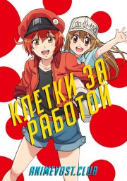 Клетки за работой (2018) 720 HD