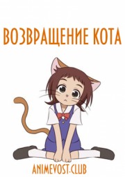 Аниме онлайн