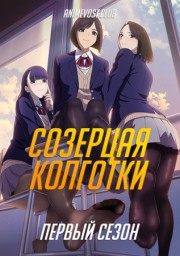 Созерцая колготки, Сезон 1 (2019) 1080 HD