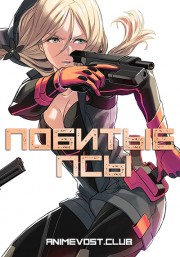 Побитые псы (2016) 720 HD