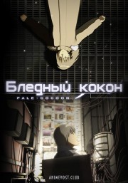Аниме онлайн