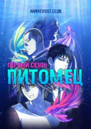 Питомец, Сезон 1 (2020) 1080 HD